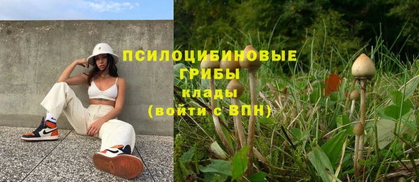 кокаин перу Бородино