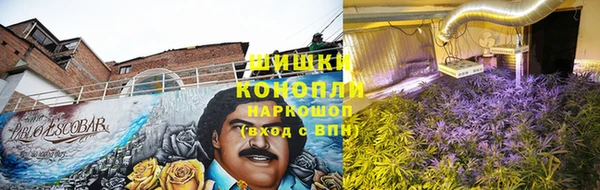 твердый Няндома