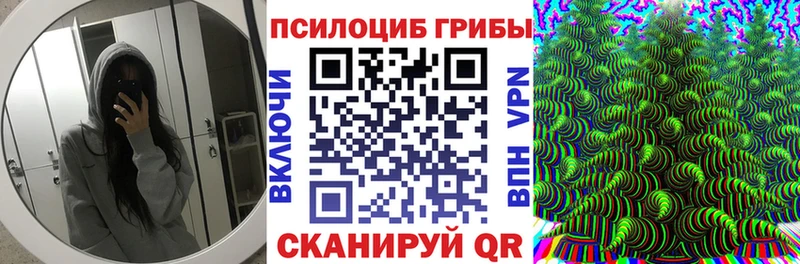 купить наркоту  Бирюч  Галлюциногенные грибы Psilocybe 